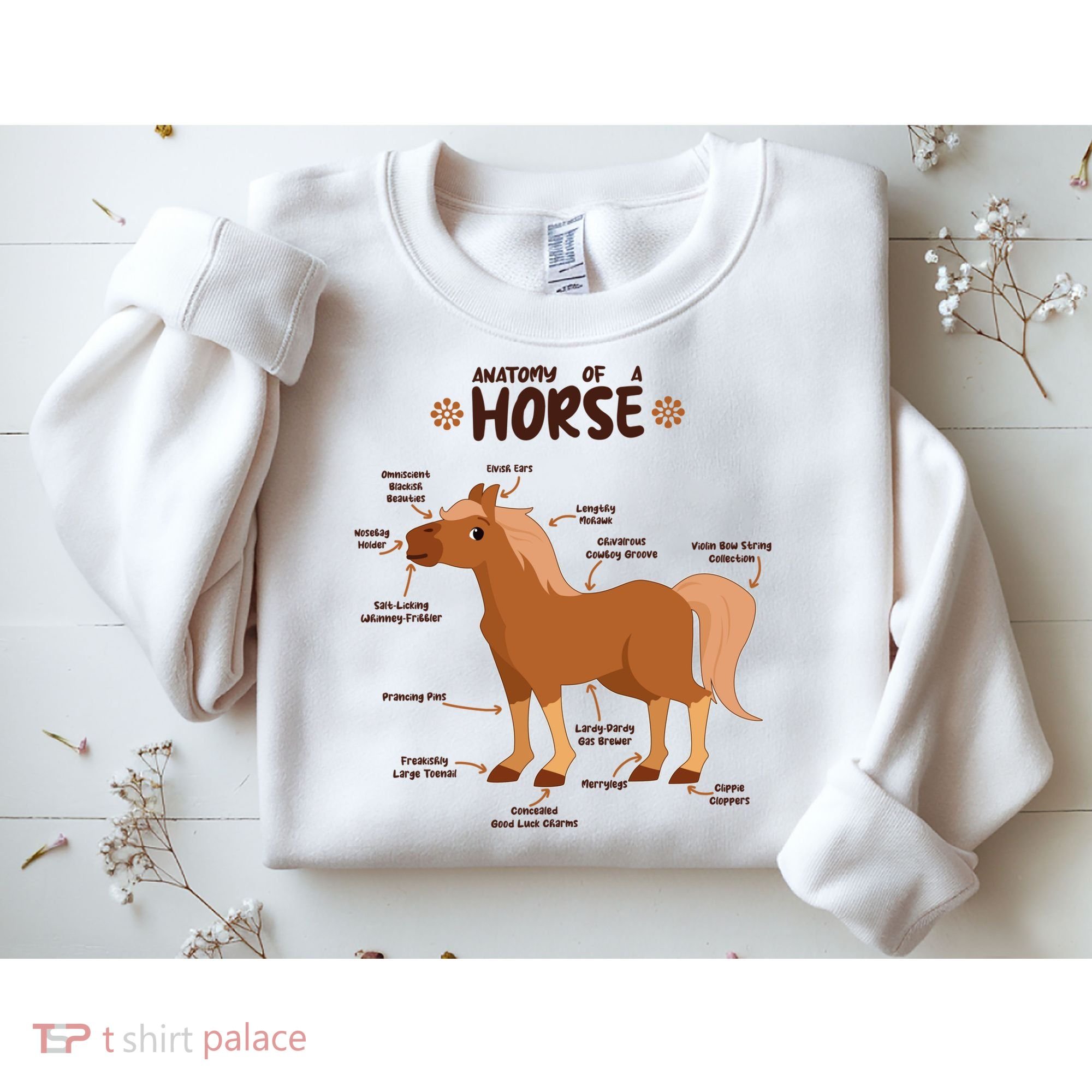 Cute Funny Anatomy Of A Horse Diagram Sweatshirt