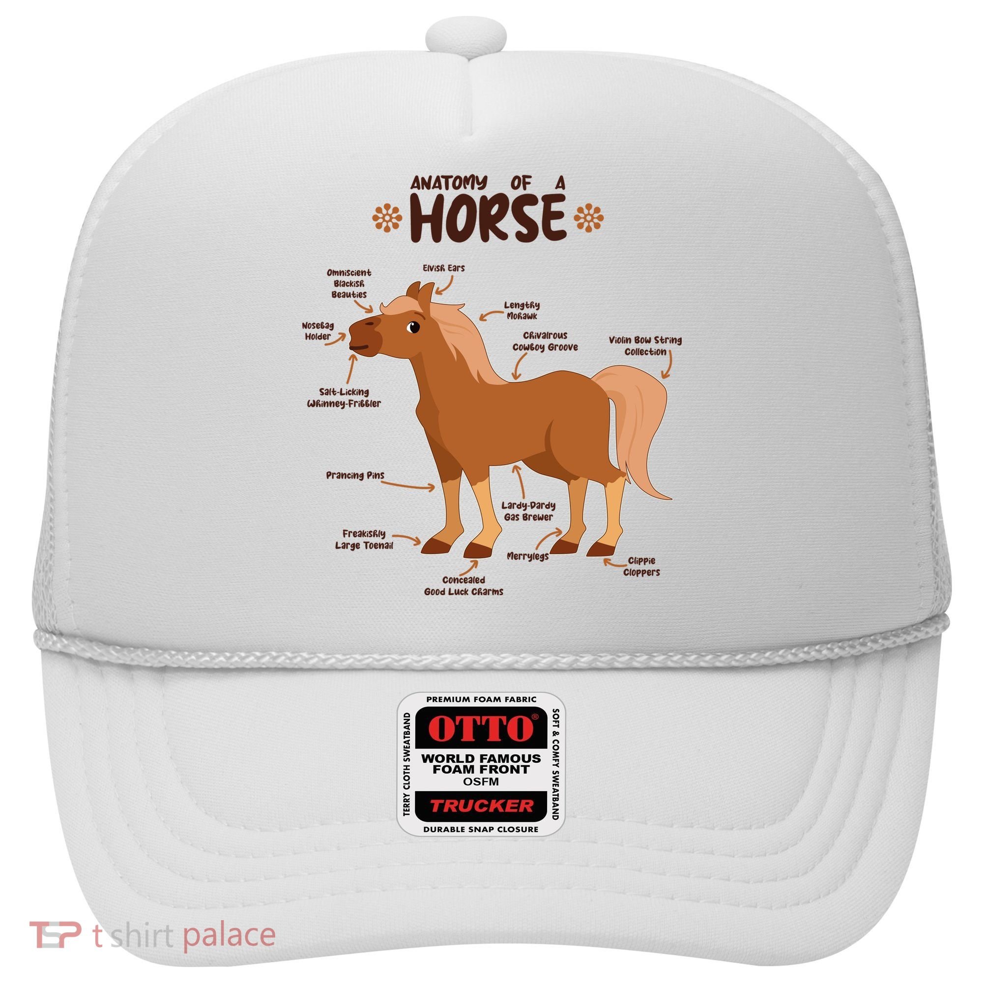 Cute Funny Anatomy Of A Horse Diagram Hat