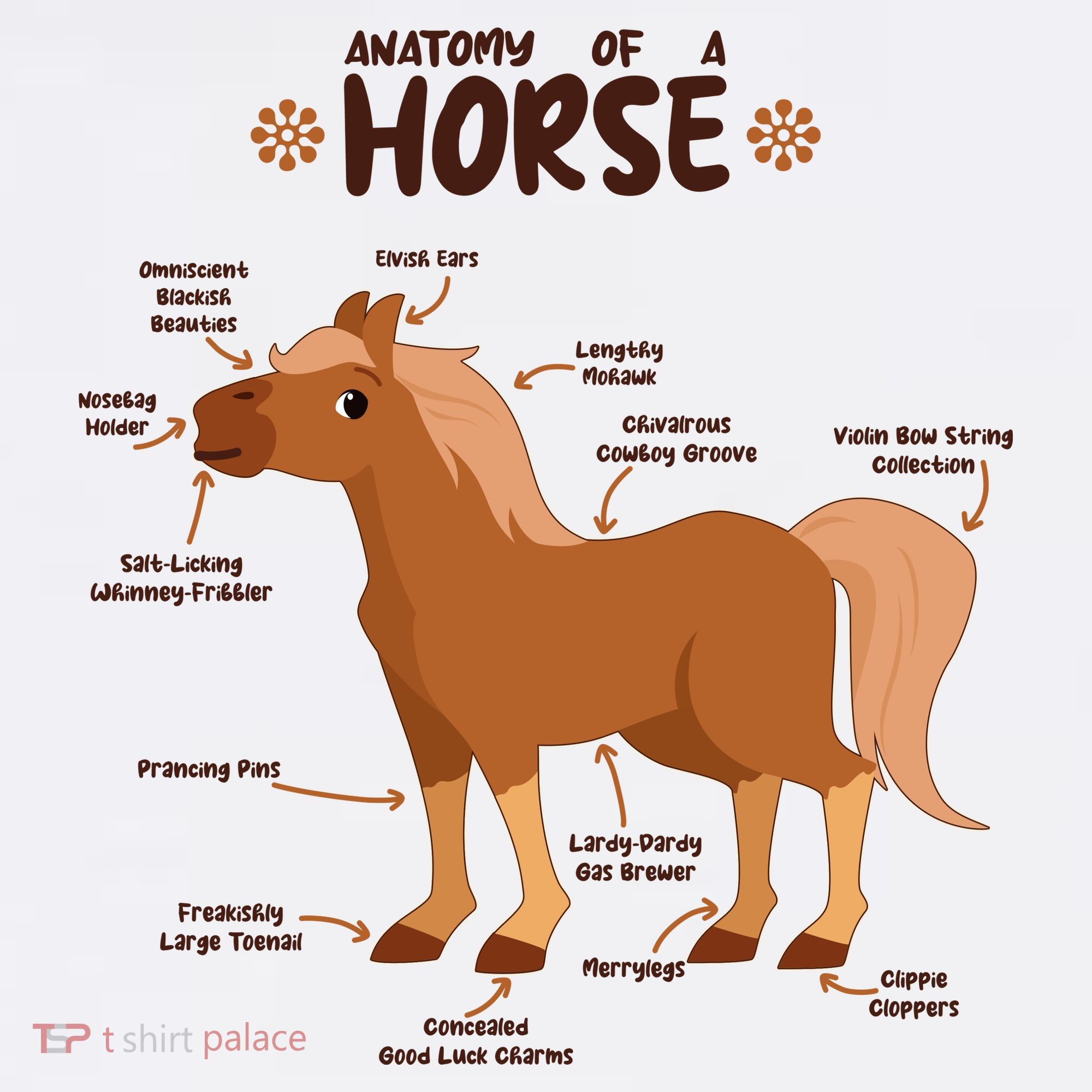 Cute Funny Anatomy Of A Horse Diagram Women's T-Shirt