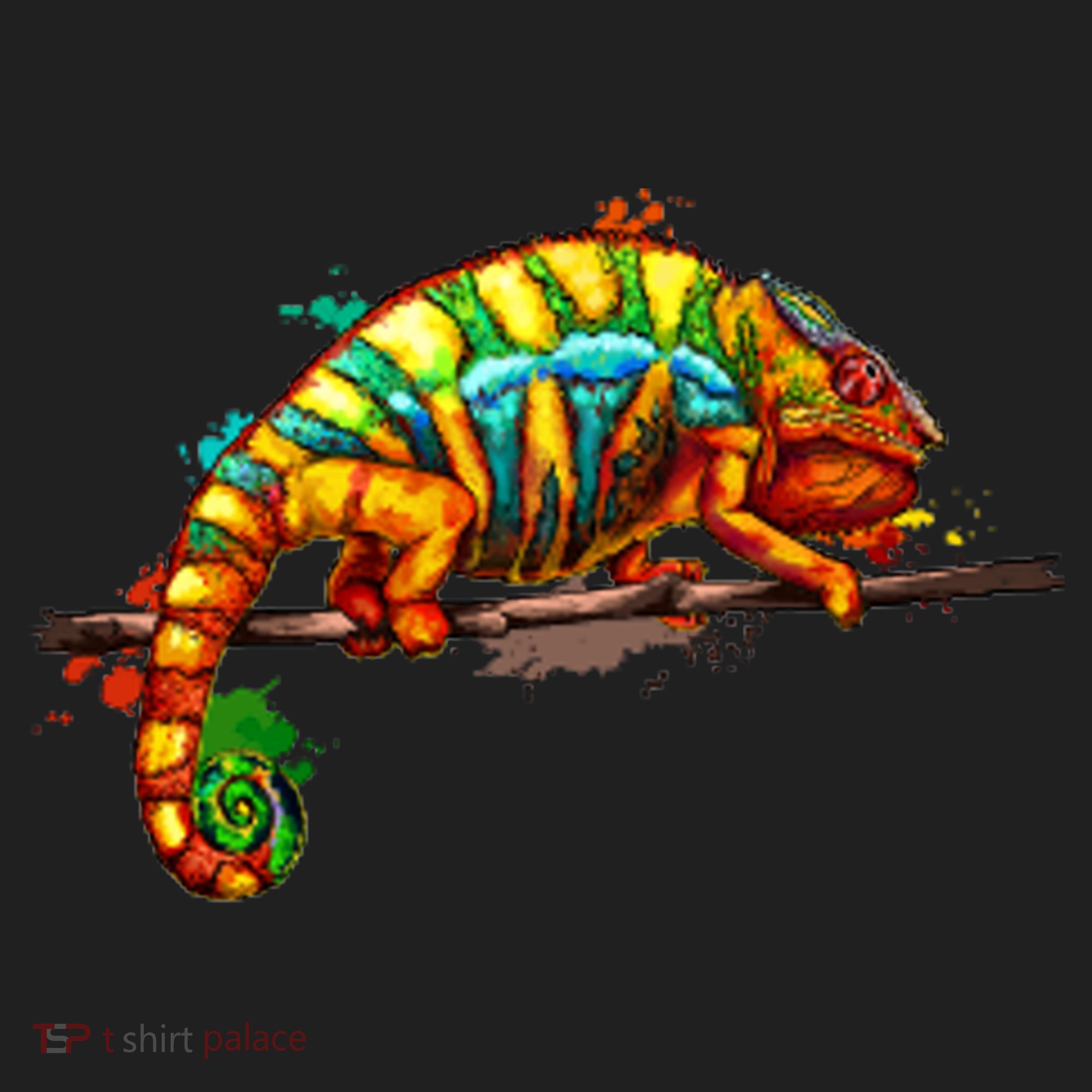 Chameleon From A Splash Women's Sweatshirt