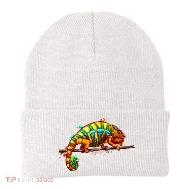 Chameleon From A Splash Beanie