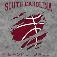 Carolinas Fan Apparel Hoops Gear South Carolina Basketball Toddler Hoodie thumb 2