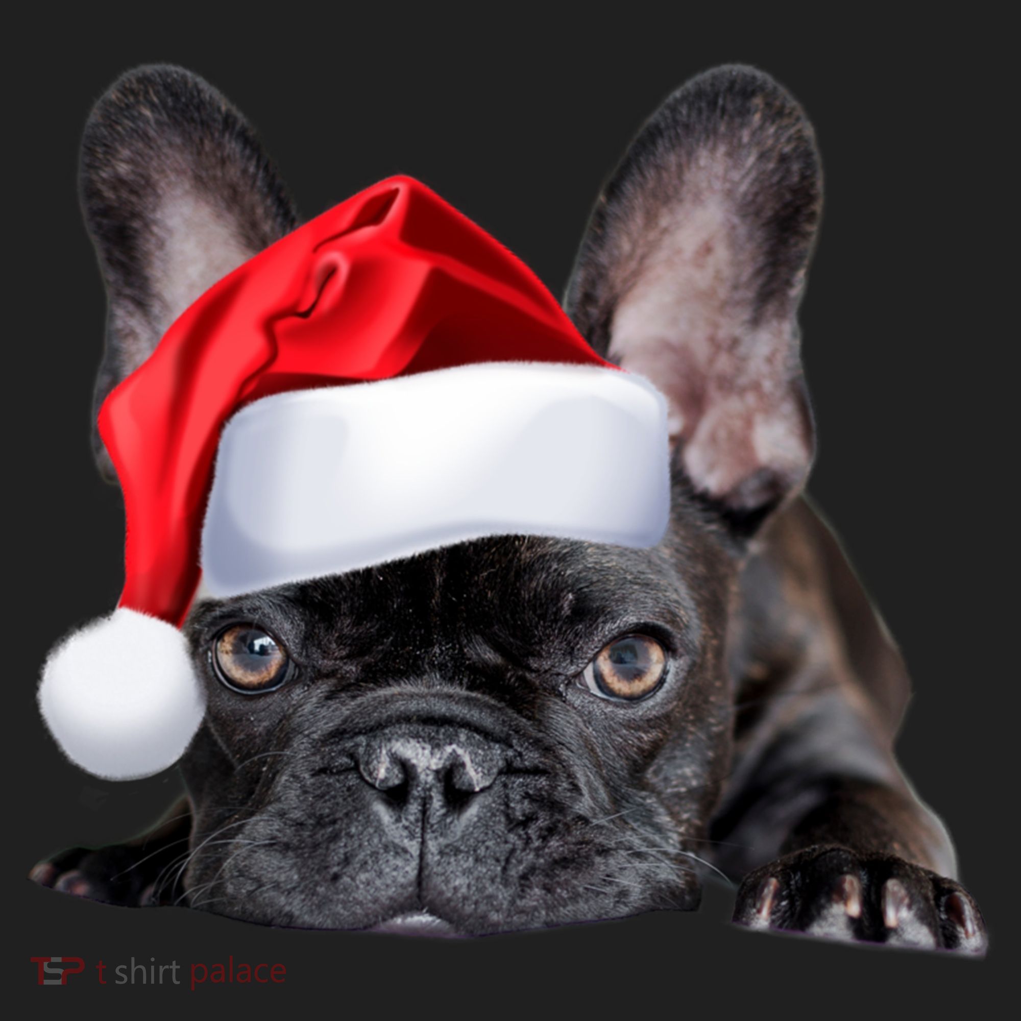 Cute French Bulldog Santa Hat Frenchie Image Christmas Gift Women's Sweatshirt