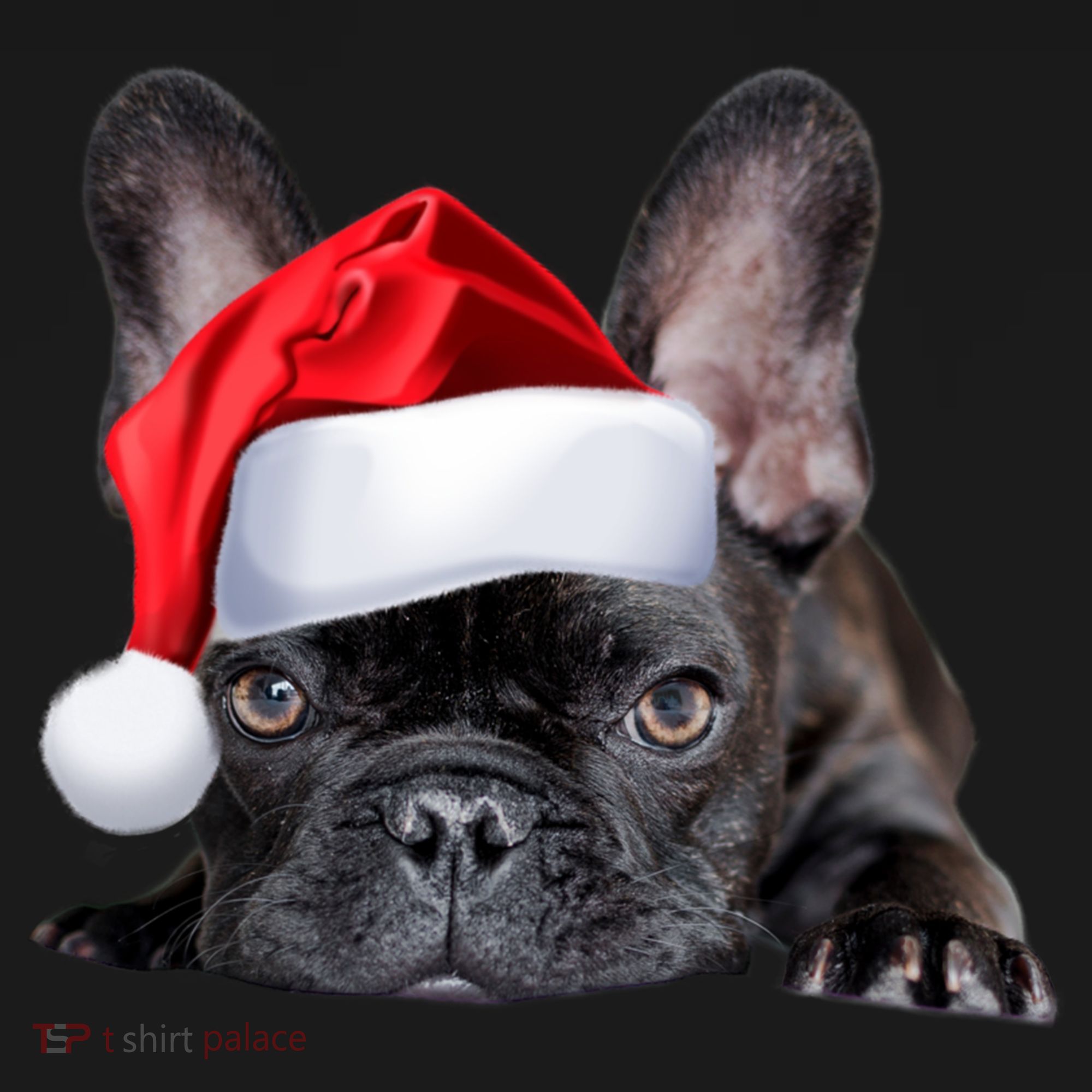 Cute French Bulldog Santa Hat Frenchie Image Christmas Gift Women's Hoodie