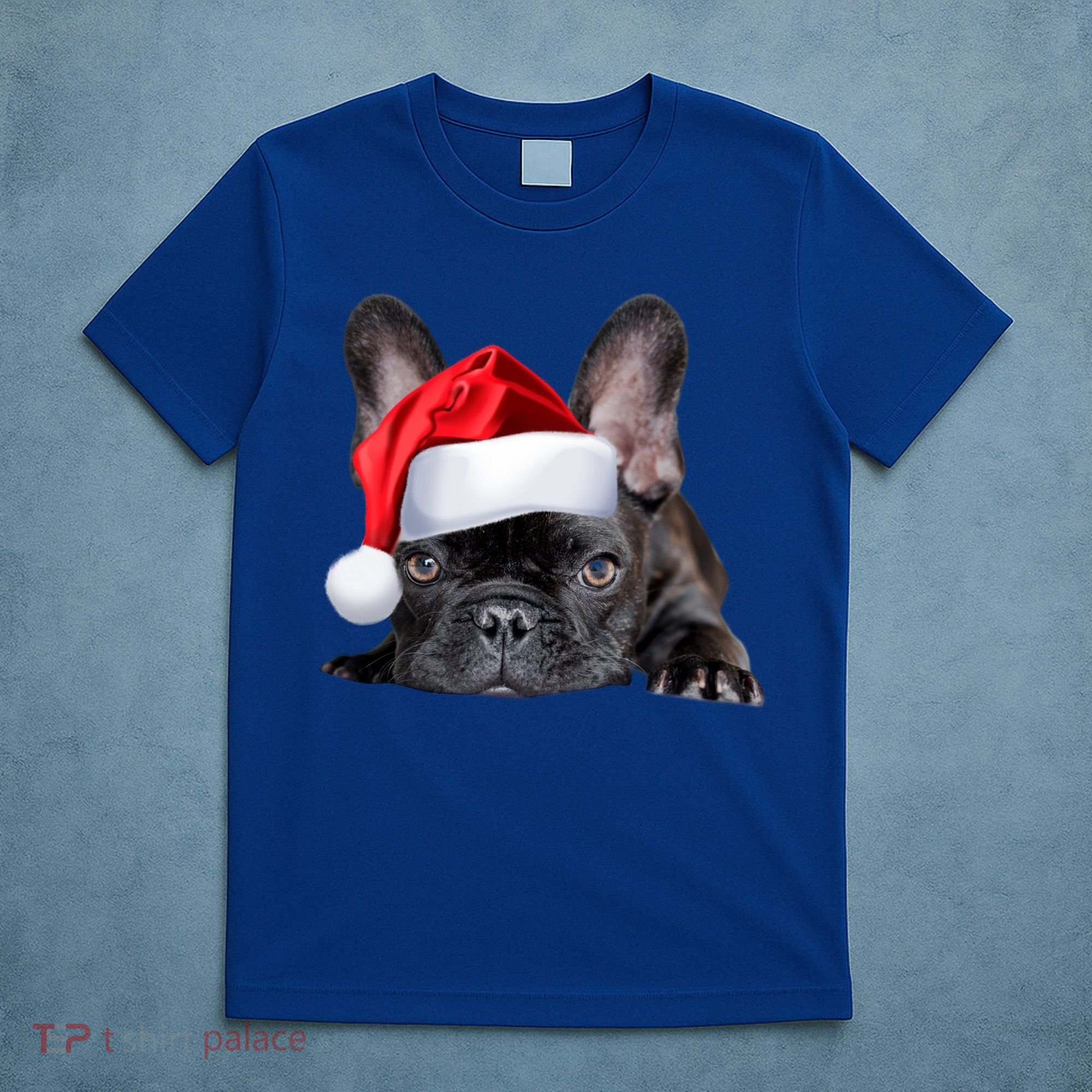 Cute French Bulldog Santa Hat Frenchie Image Christmas Gift T-Shirt