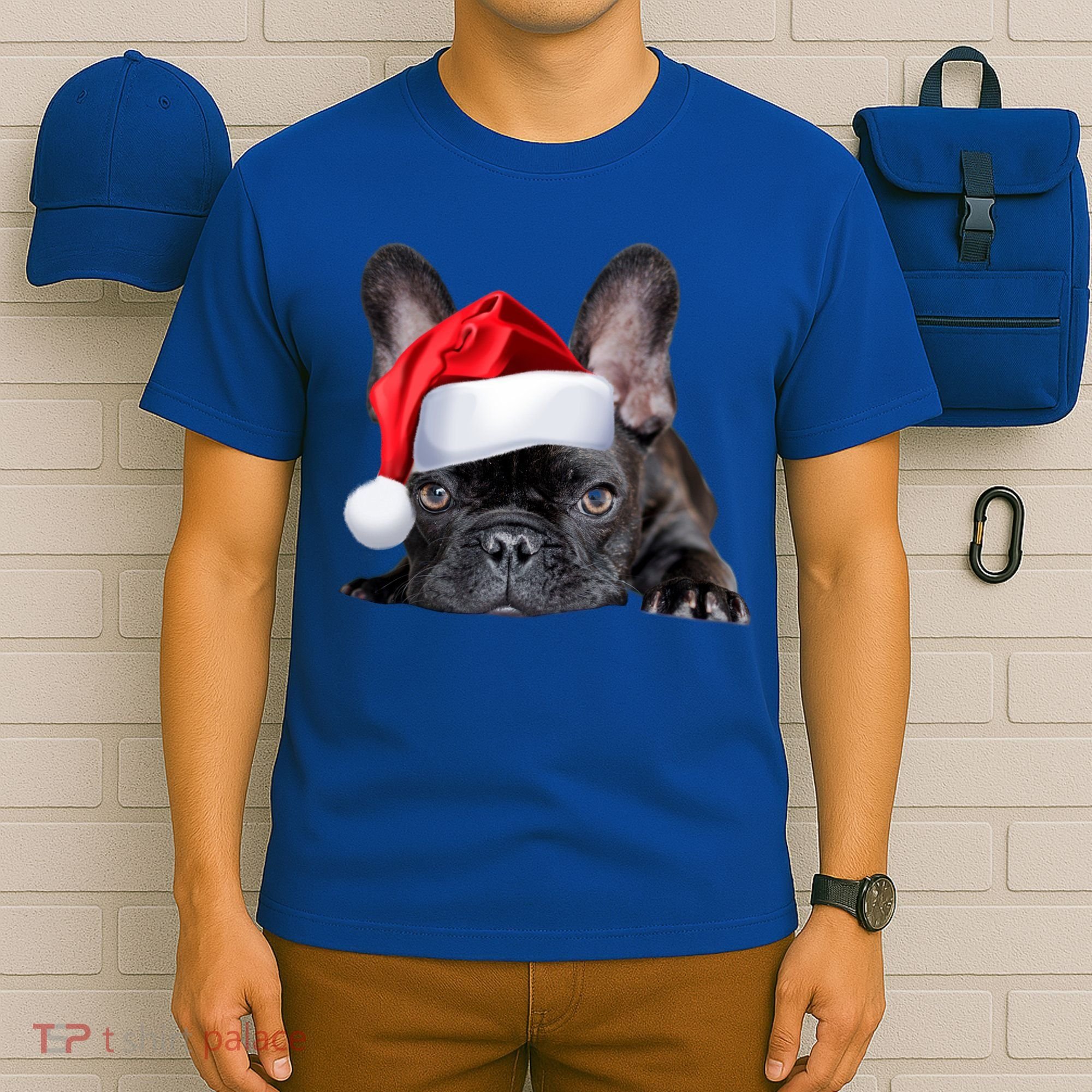 Cute French Bulldog Santa Hat Frenchie Image Christmas Gift T-Shirt