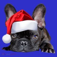 Cute French Bulldog Santa Hat Frenchie Image Christmas Gift Mousepad thumb 1