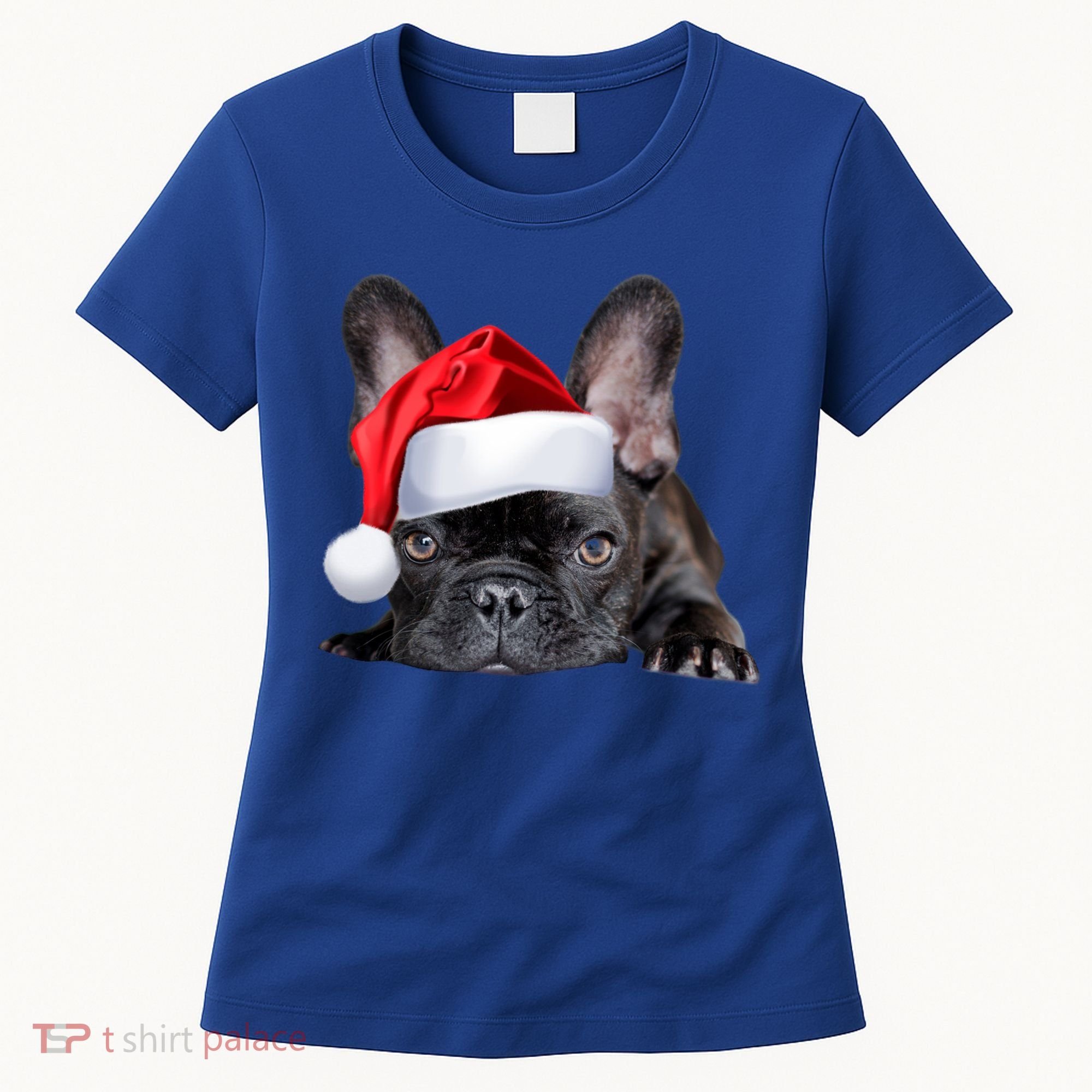 Cute French Bulldog Santa Hat Frenchie Image Christmas Gift Women's T-Shirt
