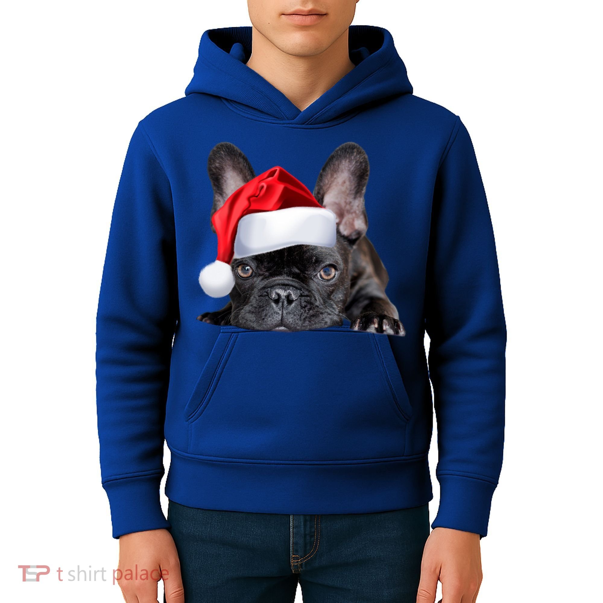 Cute French Bulldog Santa Hat Frenchie Image Christmas Gift Kids Hoodie