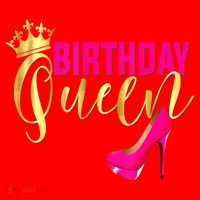 Cute Funny Birthday Queen Gift Girly Pink Shoe Crown Wo Birthday Santa Hat thumb 1