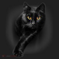 Cute Funny Black Cat Yellow Eyes T Cats Women's Sweatshirt thumb 2