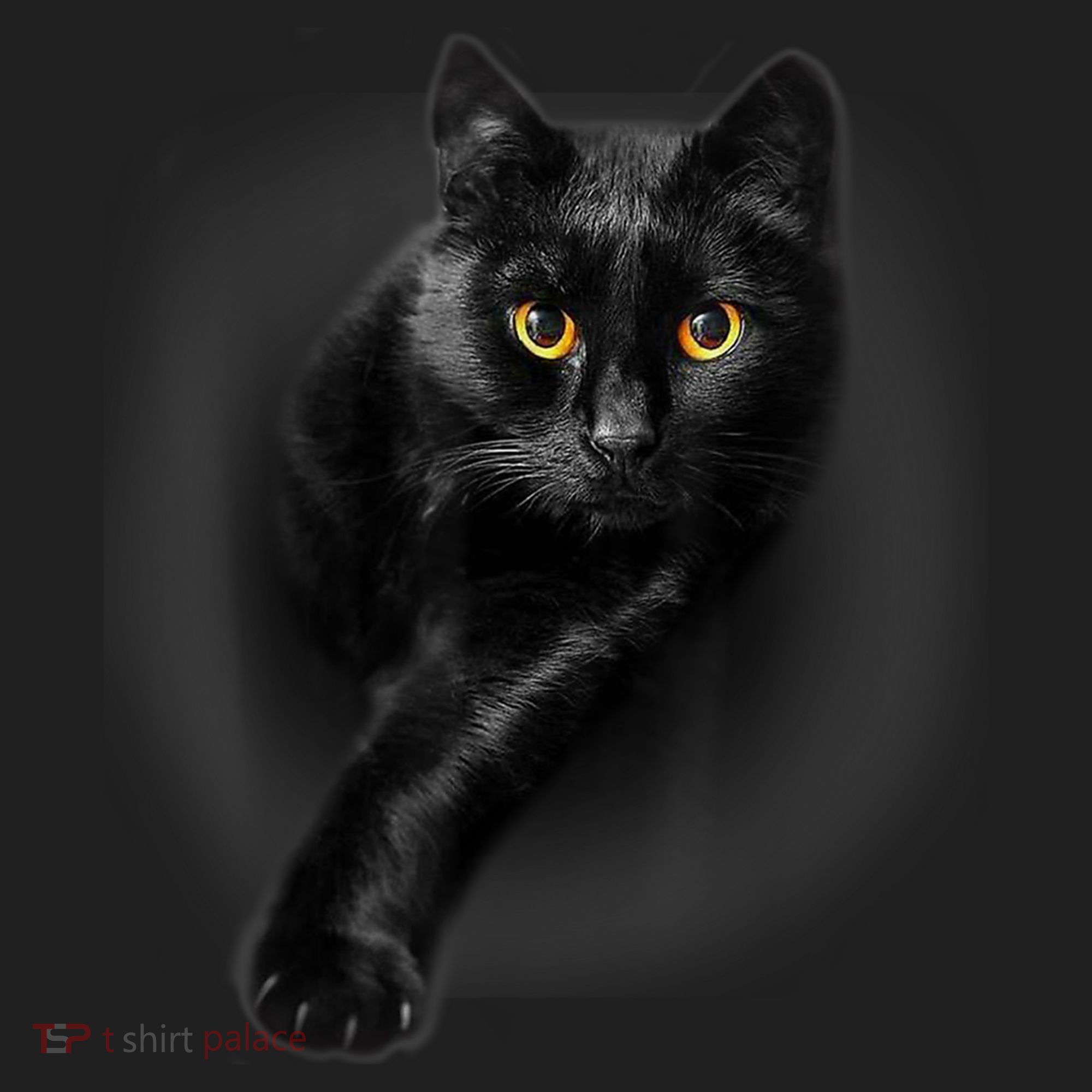 Cute Funny Black Cat Yellow Eyes T Cats Women's Sweatshirt