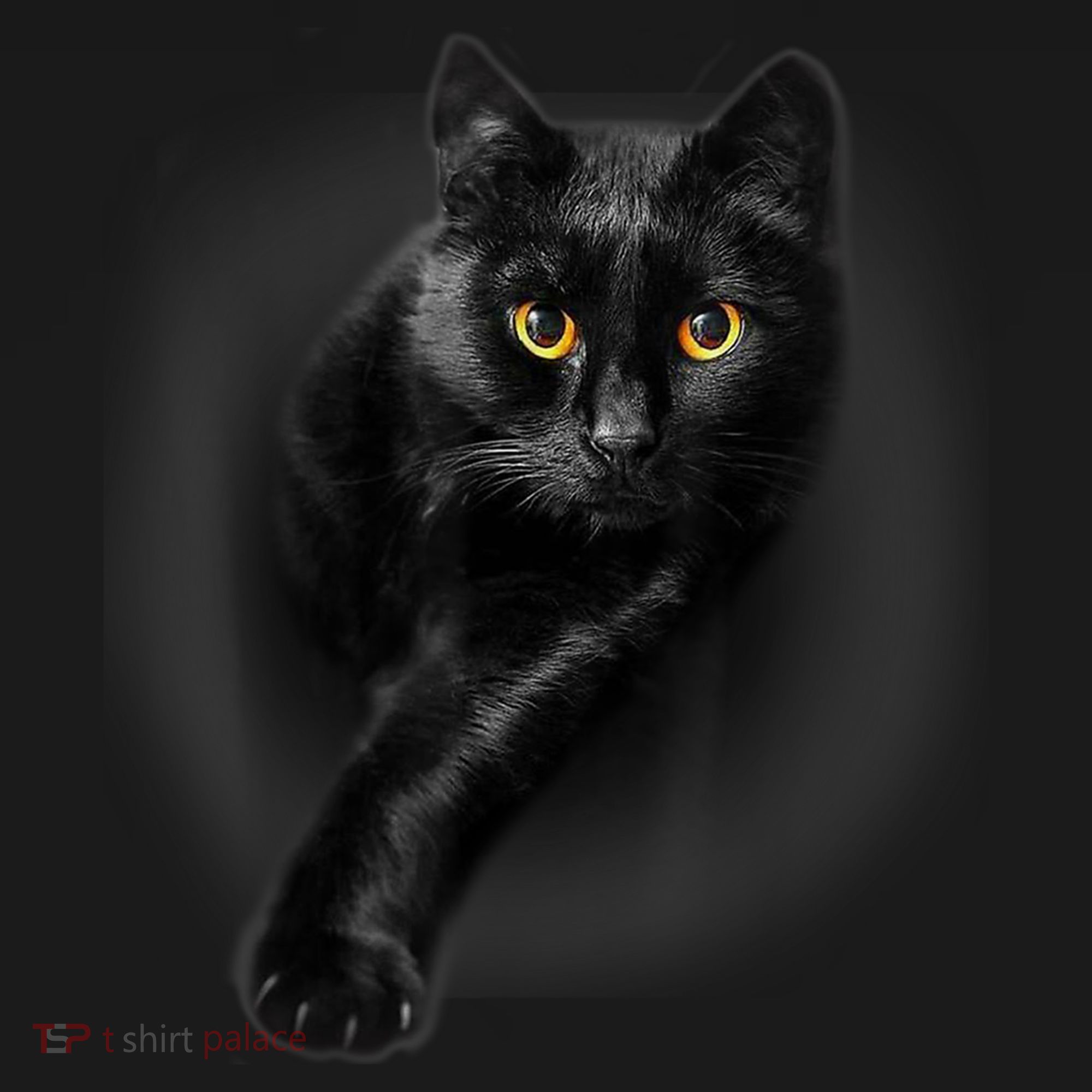 Cute Funny Black Cat Yellow Eyes T Cats Women's Hoodie