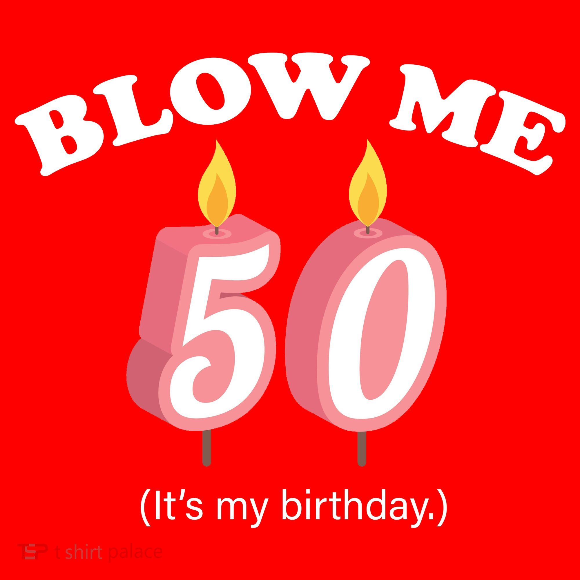 Cute Funny Blow Me It's My 50th Birthday Santa Hat