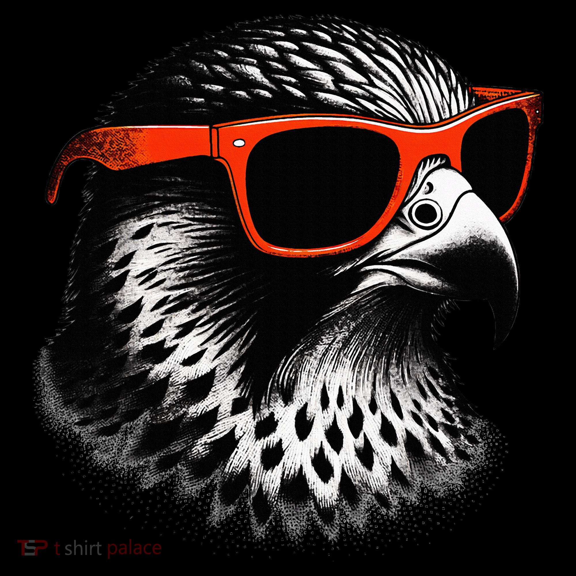 Cool Falcon Bird Wearing Sunglasses Graphic Art Women's Hoodie