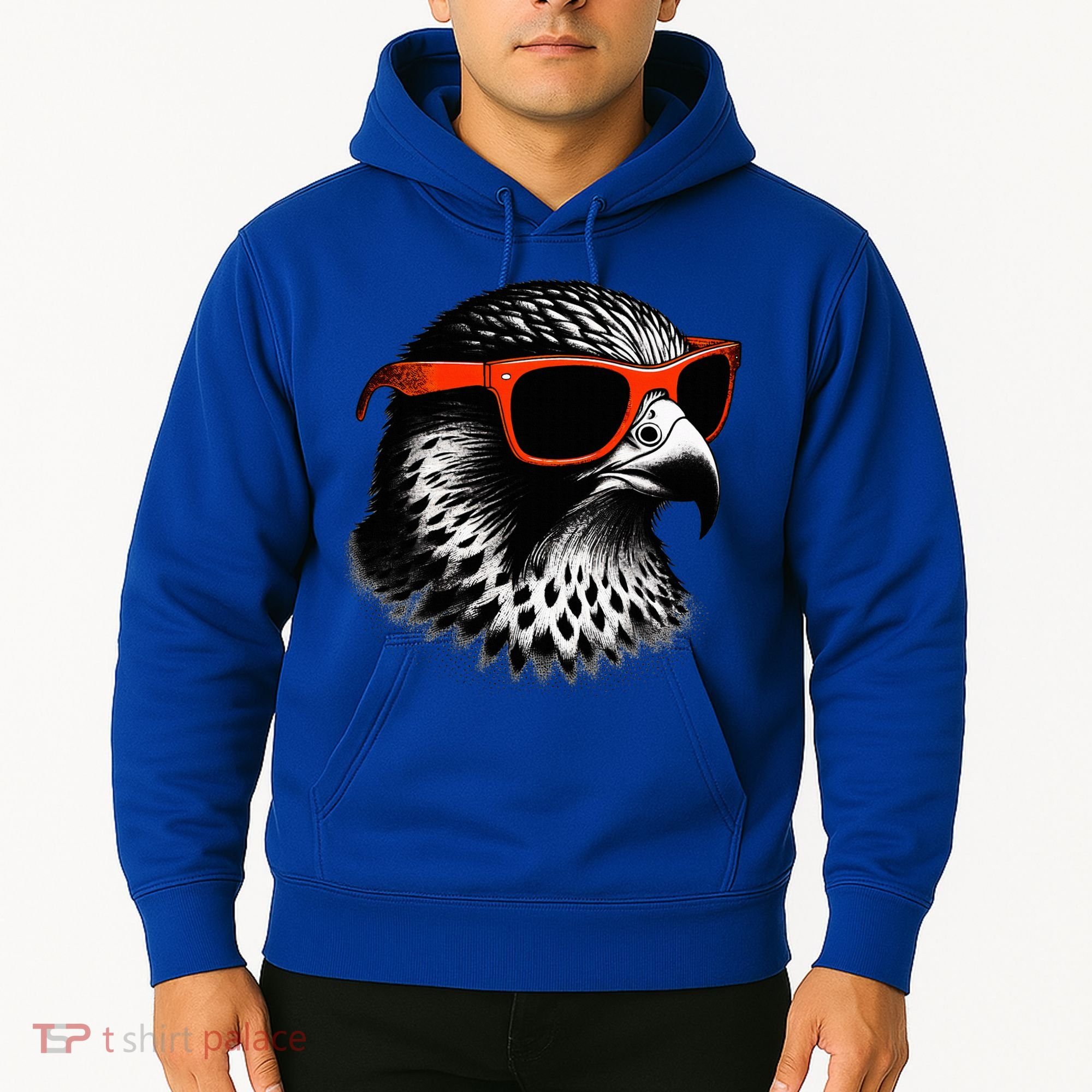 Cool Falcon Bird Wearing Sunglasses Graphic Art Hoodie