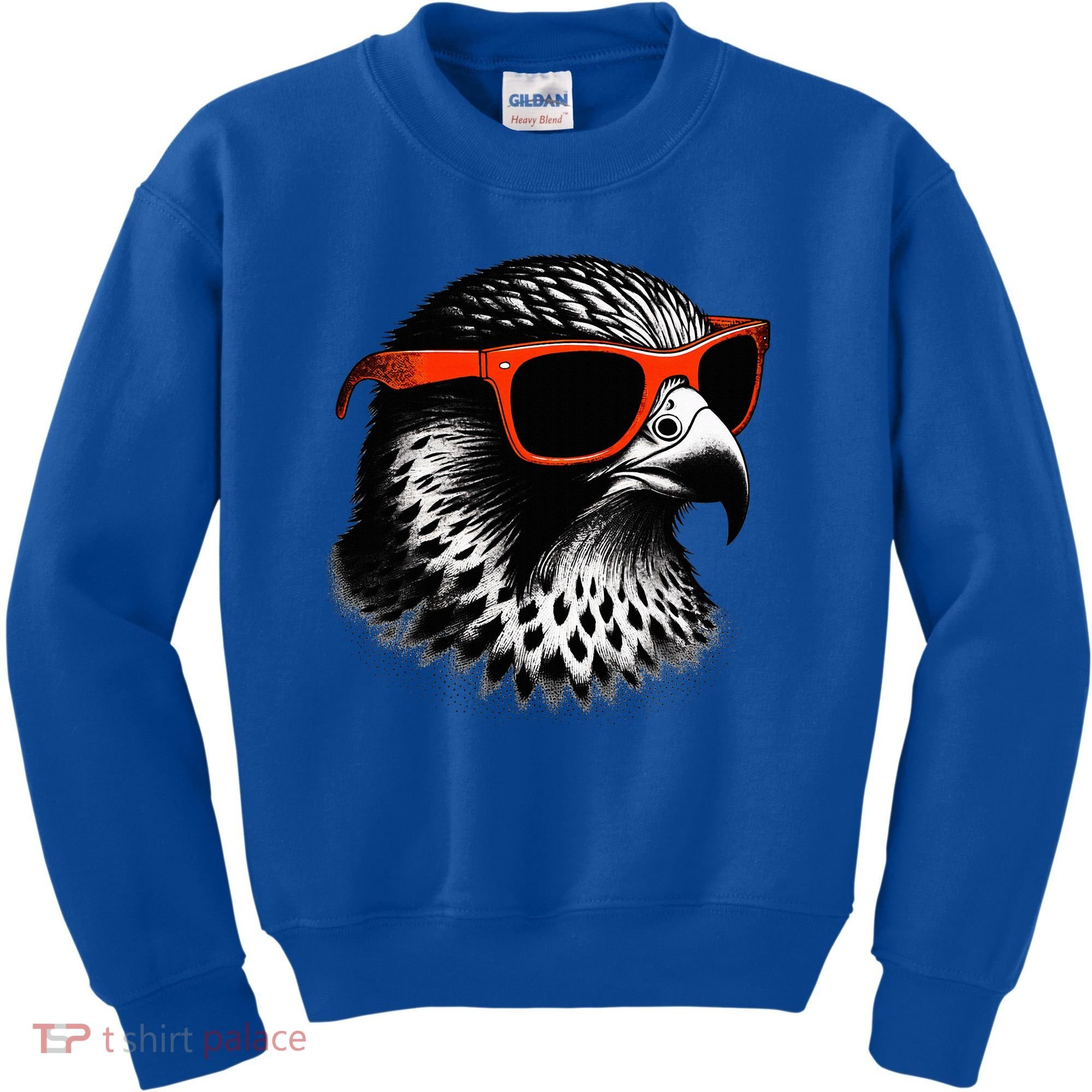 Cool Falcon Bird Wearing Sunglasses Graphic Art Kids Sweatshirt