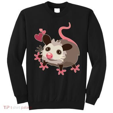 Cute Funny Baby Opossum Sweatshirt