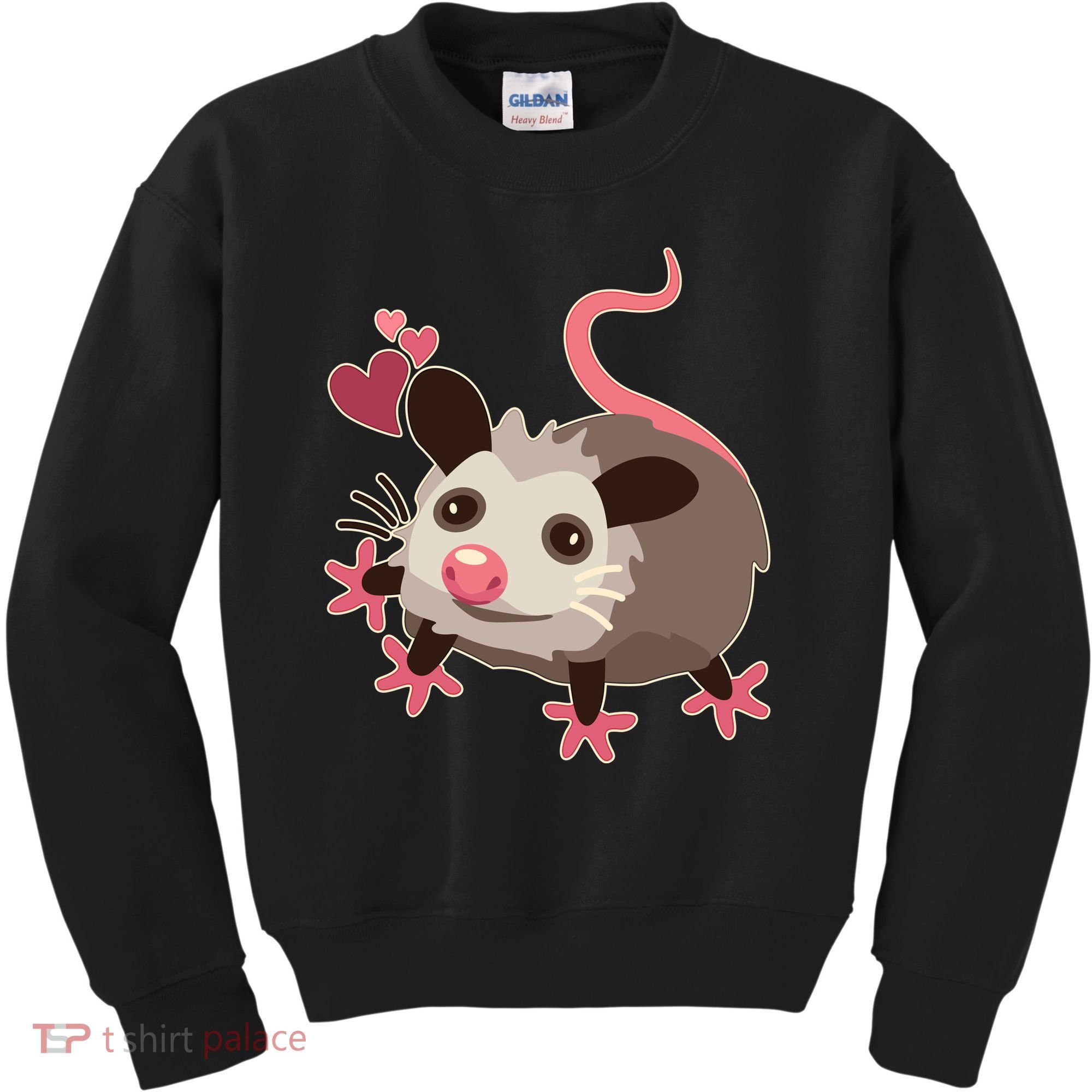 Cute Funny Baby Opossum Kids Sweatshirt