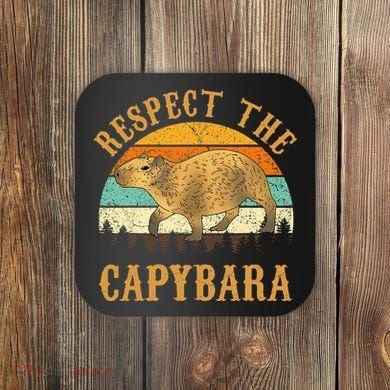 Capybara Funny Capybara Coaster