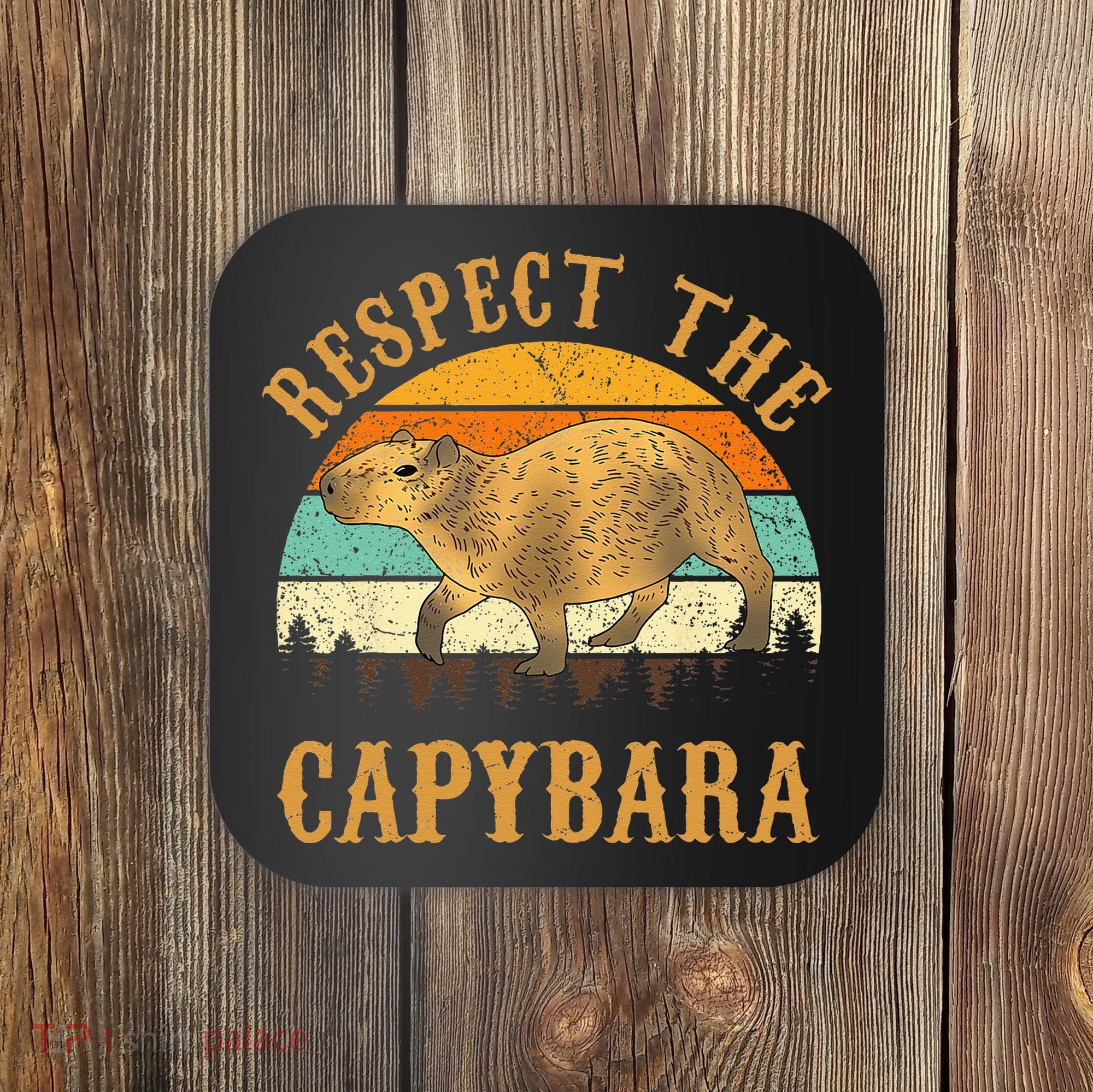 Capybara Funny Capybara Coaster