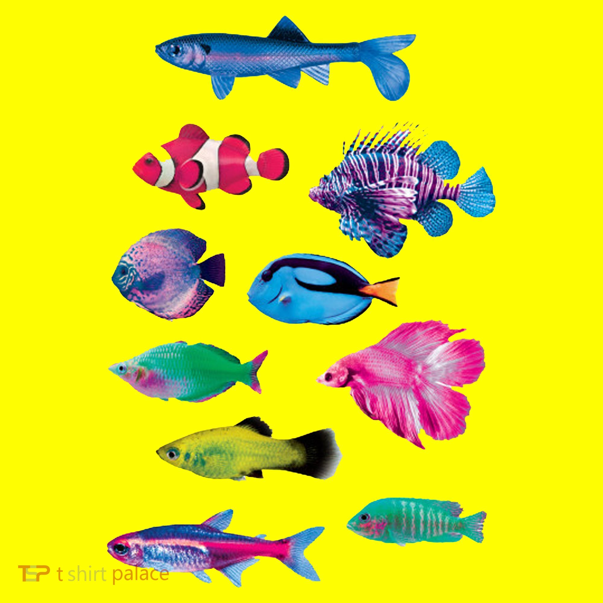 Colorful Fishes T-Shirt