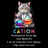 Cation Funny Chemistry Humor Science Teacher Cat Pun Gift Ornament thumb 1