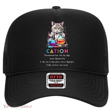 Cation Funny Chemistry Humor Science Teacher Cat Pun Gift Hat