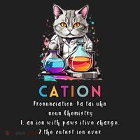 Cation Funny Chemistry Humor Science Teacher Cat Pun Gift Hat thumb 2