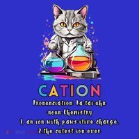 Cation Funny Chemistry Humor Science Teacher Cat Pun Gift Toddler Hoodie thumb 2