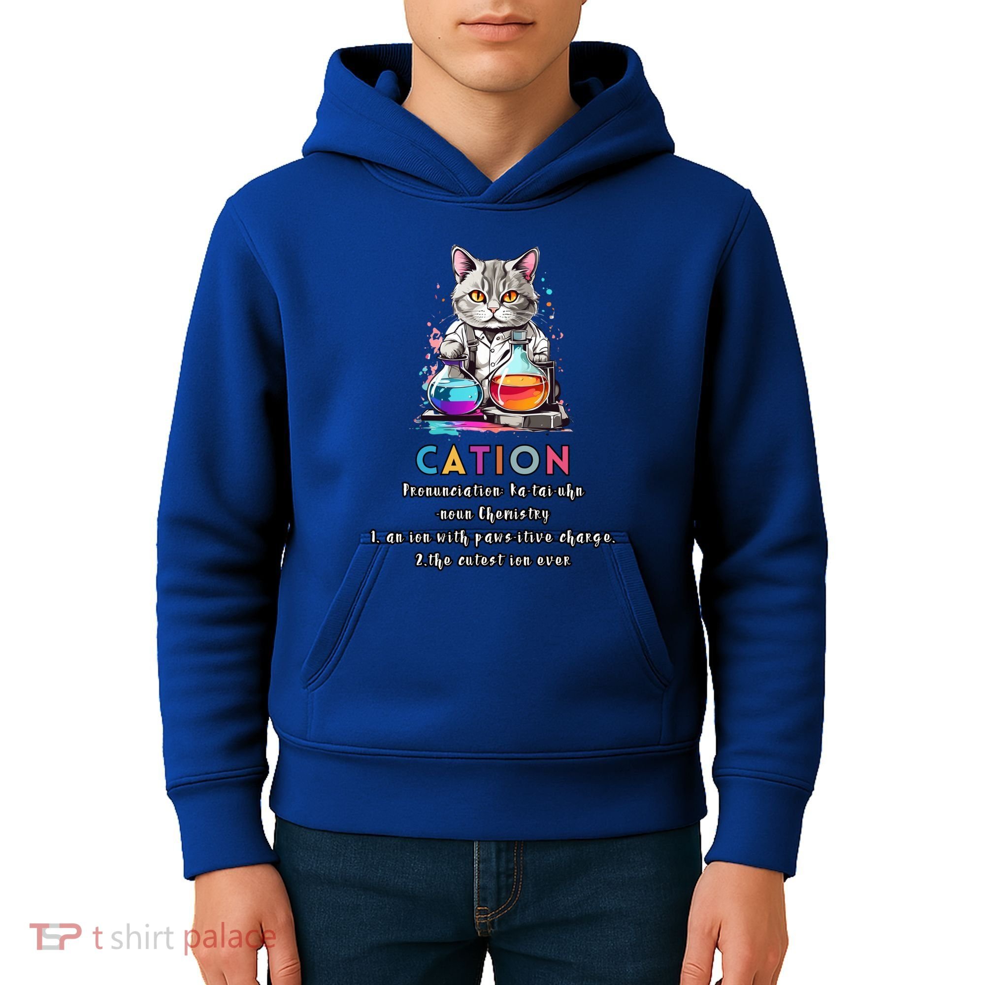 Cation Funny Chemistry Humor Science Teacher Cat Pun Gift Kids Hoodie