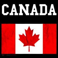 Canada Flag Canadian Flag Canadian Roots Maple Leaf Mousepad thumb 1