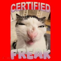 Certified Freak Cat Meme Funny Pet Humor Santa Hat thumb 1