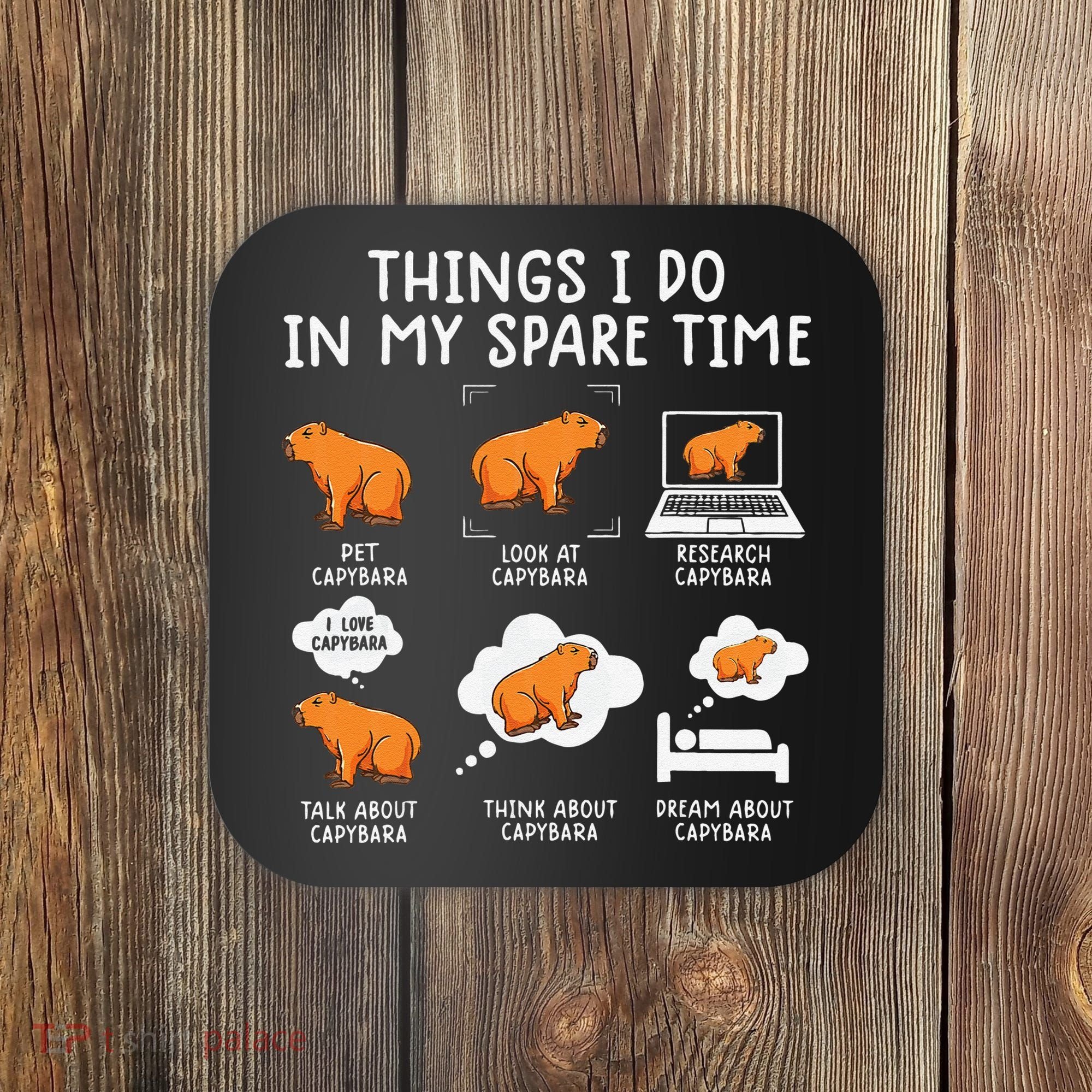 Capybaras Funny Capibara Rodent Things I Do In My Spare Time  Coaster