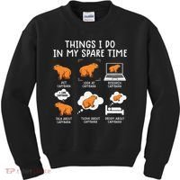 Capybaras Funny Capibara Rodent Things I Do In My Spare Time  Kids Sweatshirt thumb 0