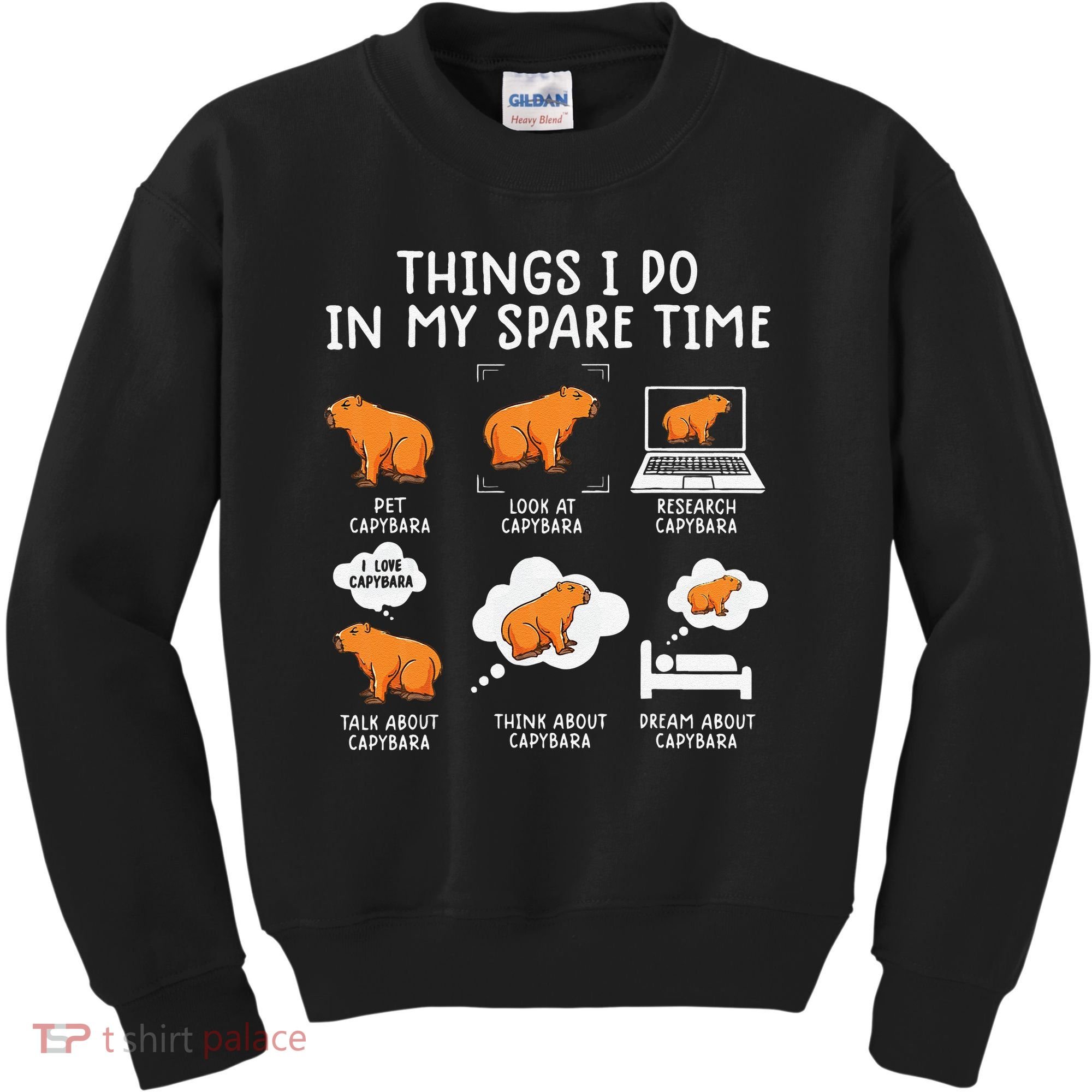 Capybaras Funny Capibara Rodent Things I Do In My Spare Time  Kids Sweatshirt