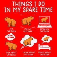 Capybaras Funny Capibara Rodent Things I Do In My Spare Time  Santa Hat thumb 1