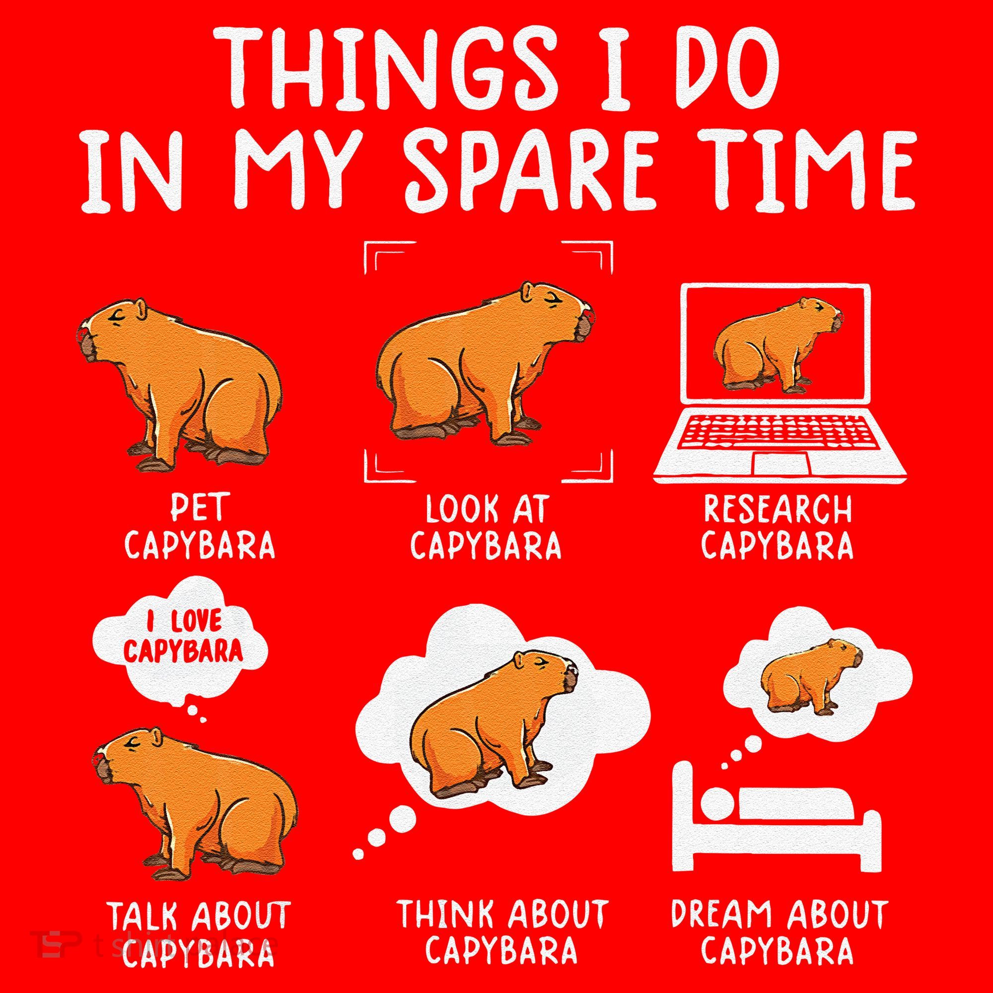 Capybaras Funny Capibara Rodent Things I Do In My Spare Time  Santa Hat