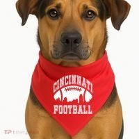 Cincinnati Football City Skyline USA-Made Doggie Bandana thumb 1