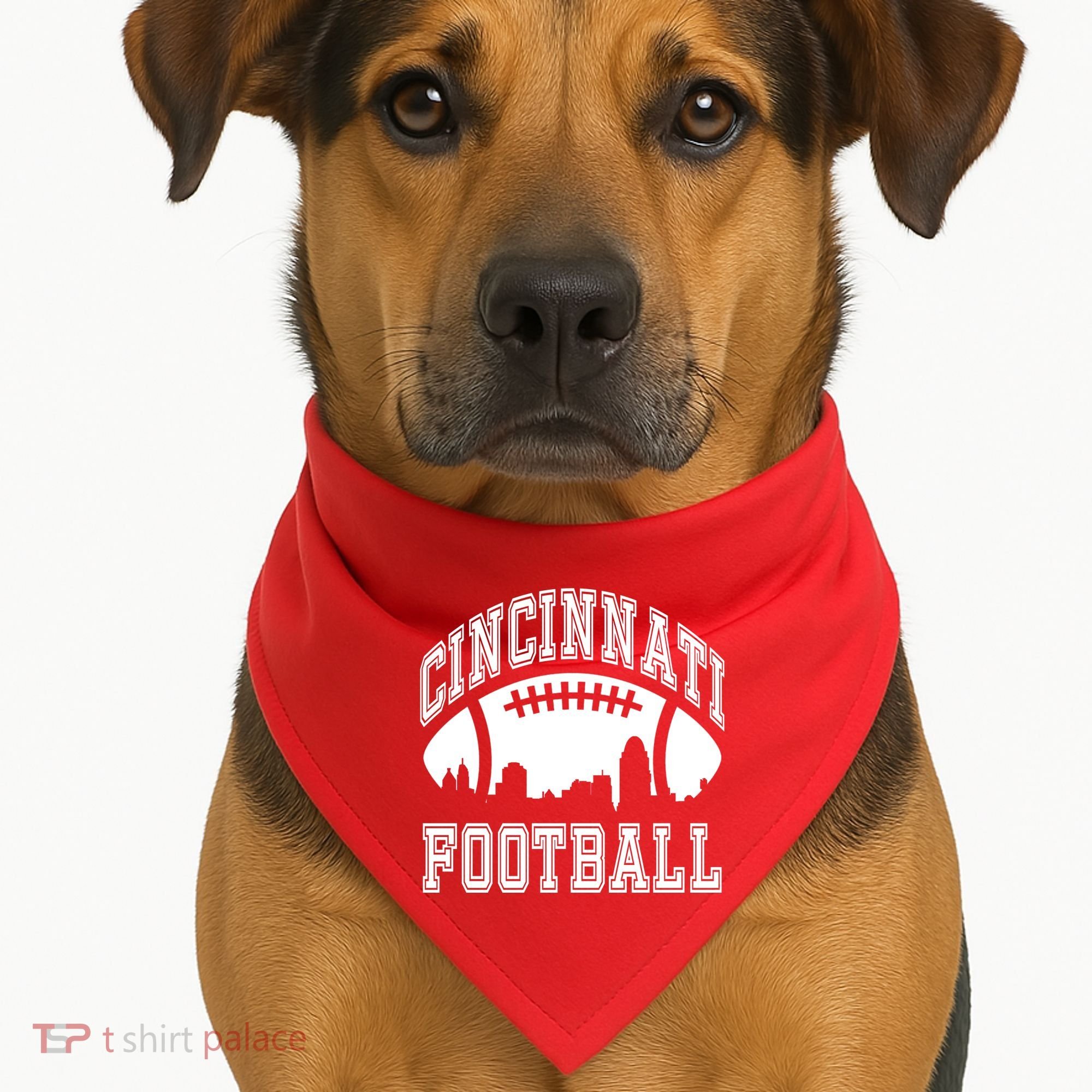 Cincinnati Football City Skyline USA-Made Doggie Bandana