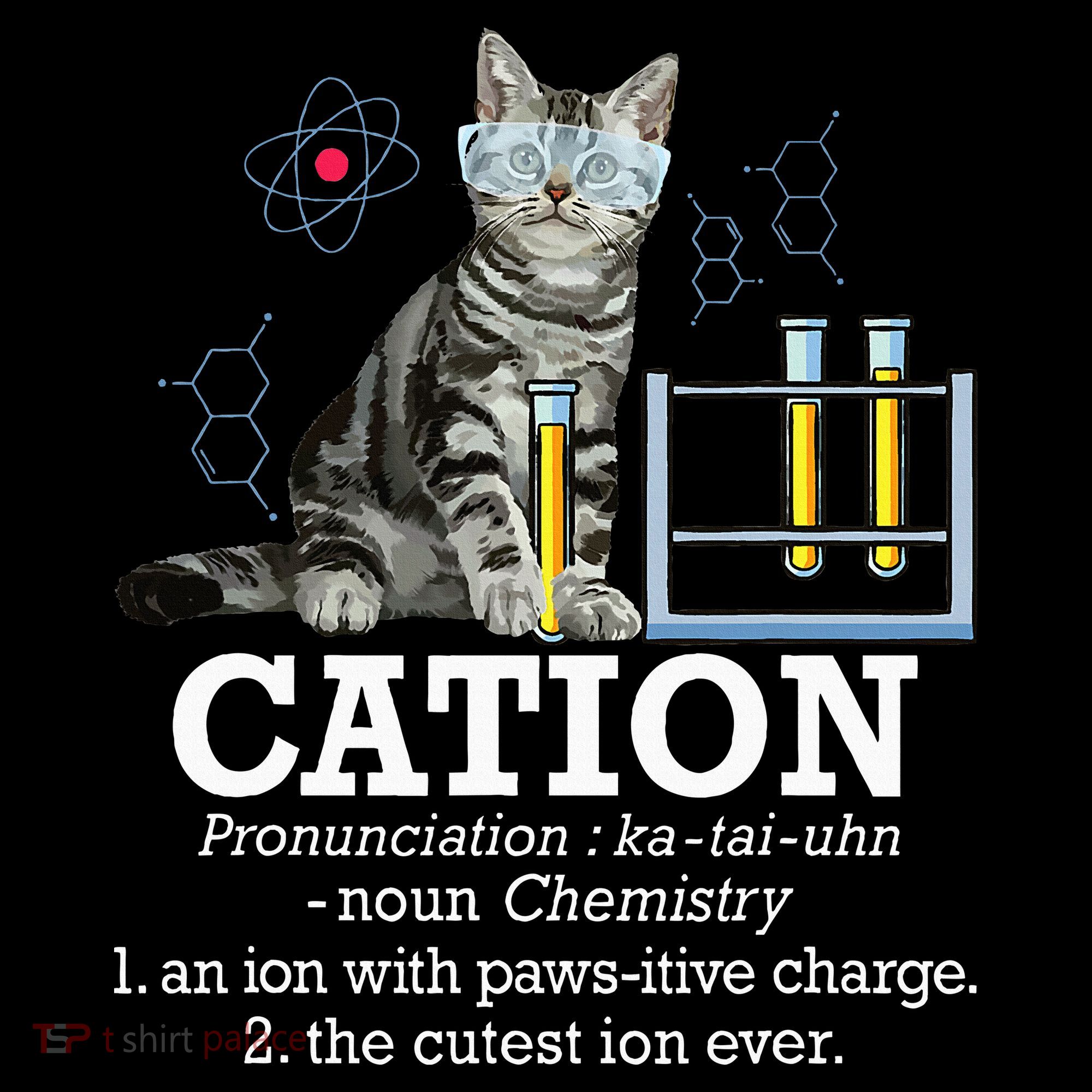 Cation Funny Chemistry Humor Science Teacher Cat Pun Women's Hoodie