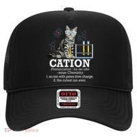 Cation Funny Chemistry Humor Science Teacher Cat Pun Hat thumb 0