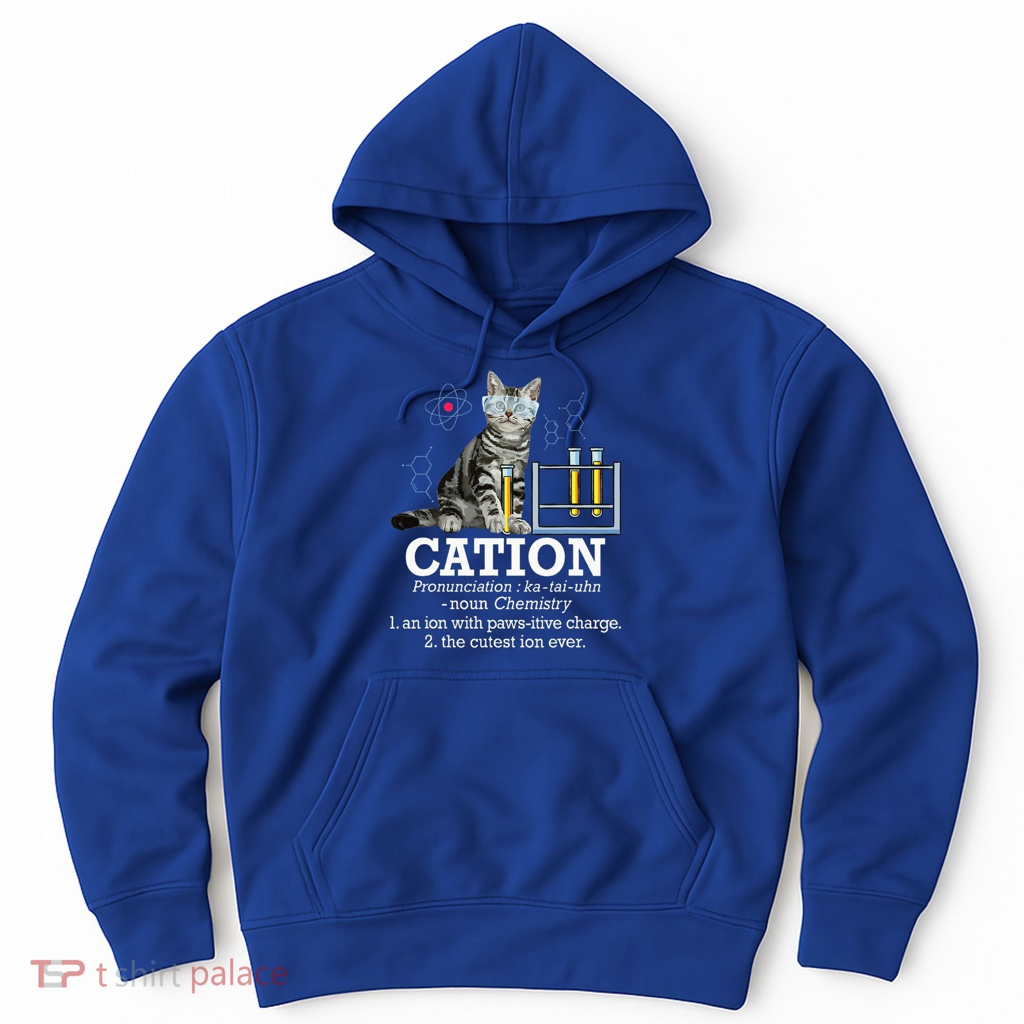 Cation Funny Chemistry Humor Science Teacher Cat Pun Hoodie
