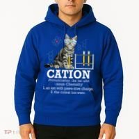 Cation Funny Chemistry Humor Science Teacher Cat Pun Hoodie thumb 2