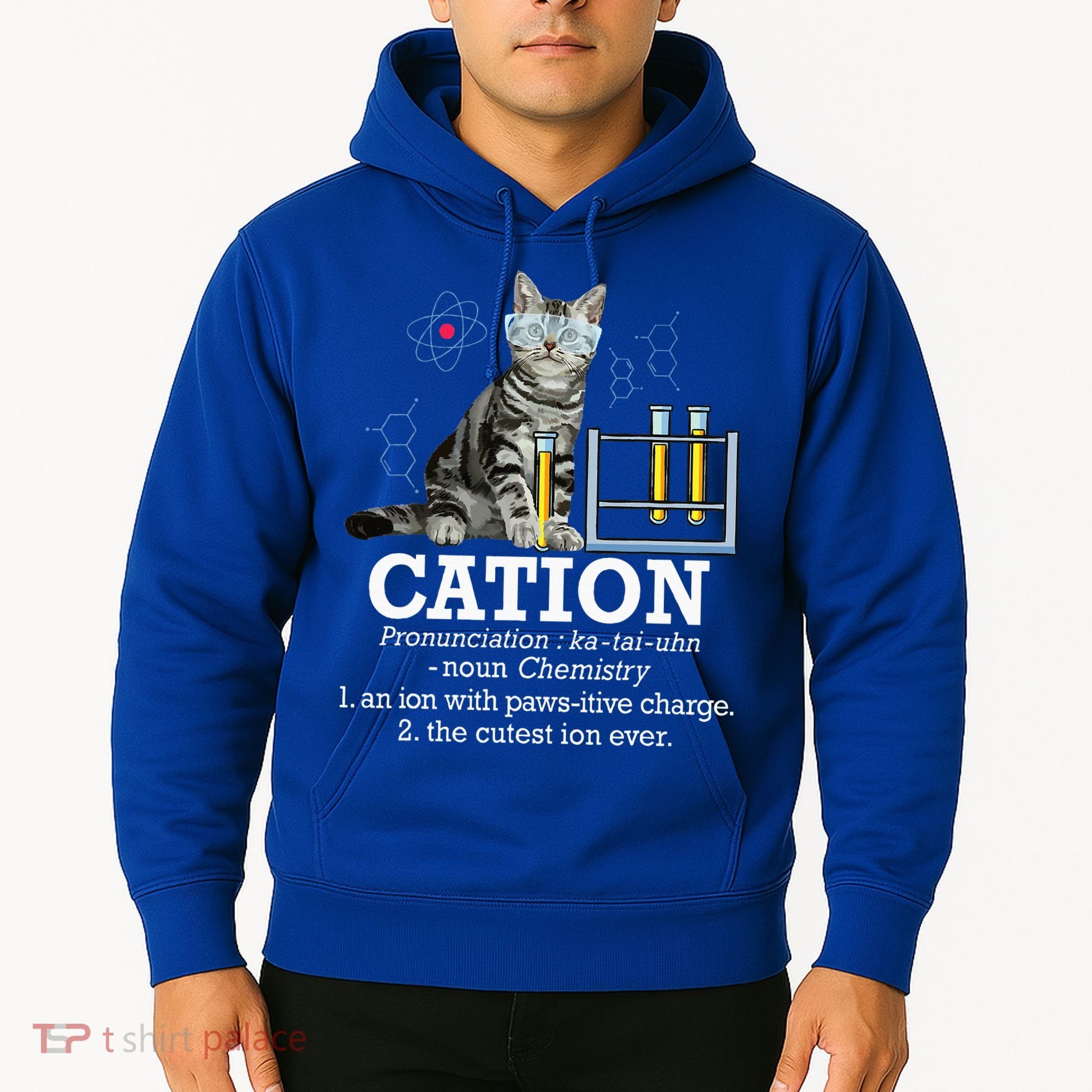 Cation Funny Chemistry Humor Science Teacher Cat Pun Hoodie