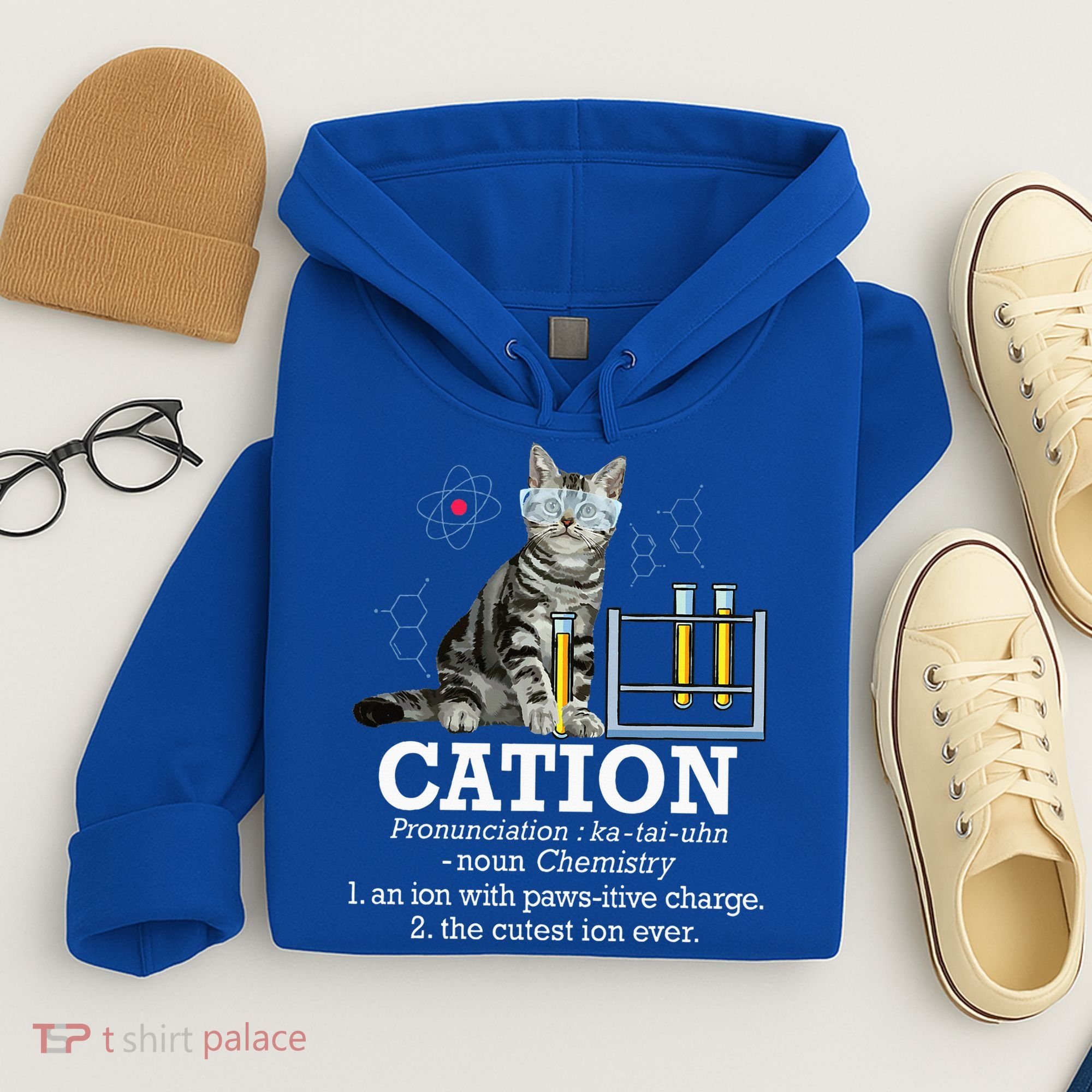 Cation Funny Chemistry Humor Science Teacher Cat Pun Hoodie