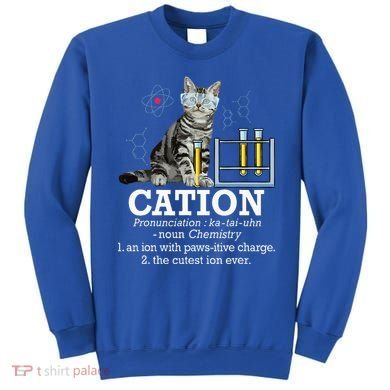 Cation Funny Chemistry Humor Science Teacher Cat Pun Sweatshirt