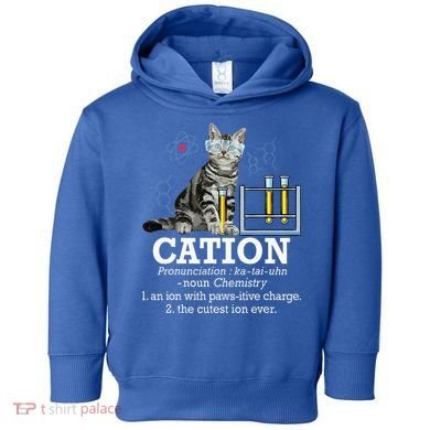 Cation Funny Chemistry Humor Science Teacher Cat Pun Toddler Hoodie