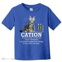 Cation Funny Chemistry Humor Science Teacher Cat Pun Toddler T-Shirt thumb 0