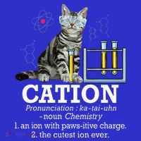 Cation Funny Chemistry Humor Science Teacher Cat Pun Toddler T-Shirt thumb 4